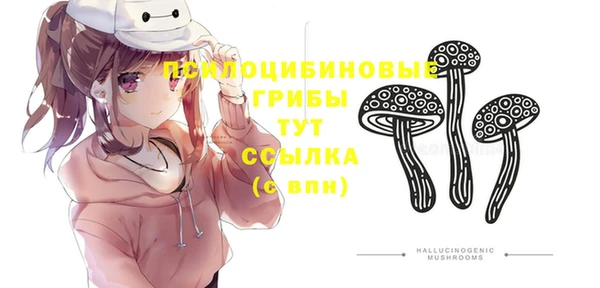 скорость Абаза