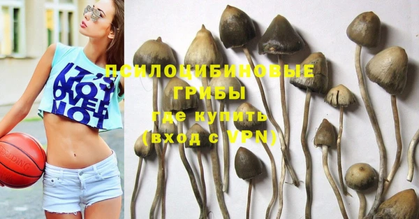 a pvp Абинск