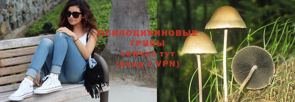 a pvp Абинск